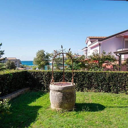 Holiday Apartment 50M From The Beach Pjescana Uvala Ngoại thất bức ảnh